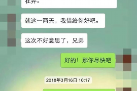 项城为什么选择专业追讨公司来处理您的债务纠纷？